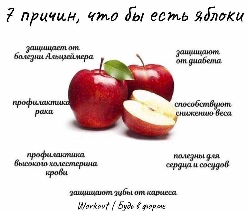 Польза и вред яблок. полезные свойства яблок, витамины и минералы