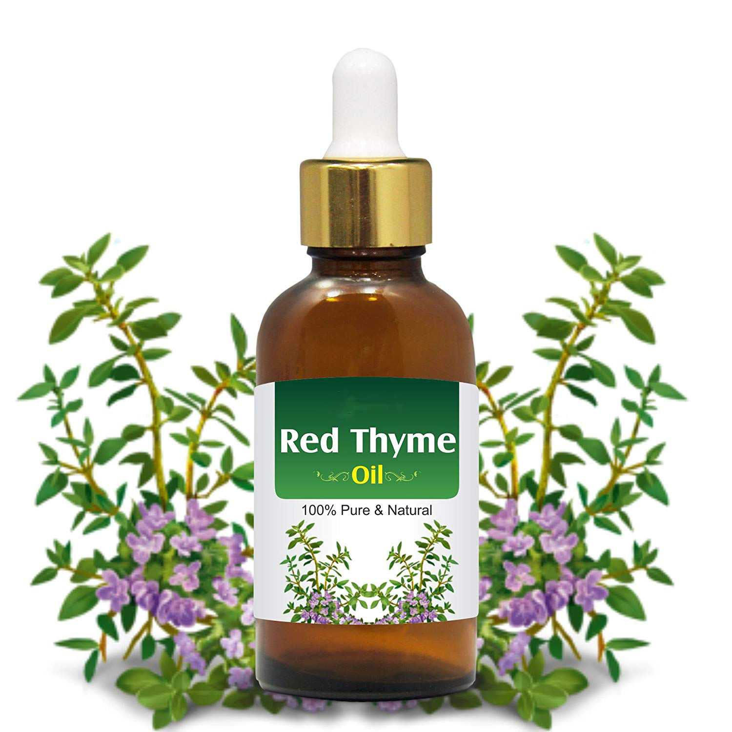 Эфирное масло тимьяна (чабреца) (thymus vulgaris) — свойства, применение, польза и вред — aromajoy.ru