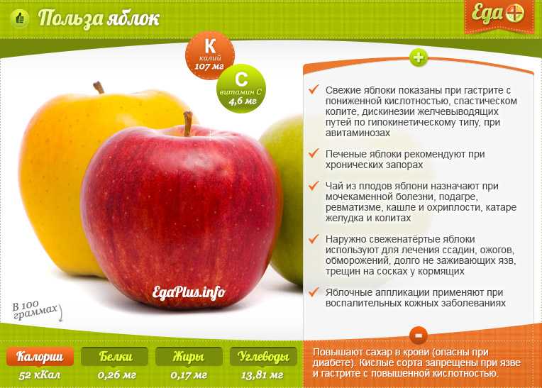 Чем опасны «падалки»? какие яблоки нельзя есть? | здоровье | аиф аргументы и факты в беларуси