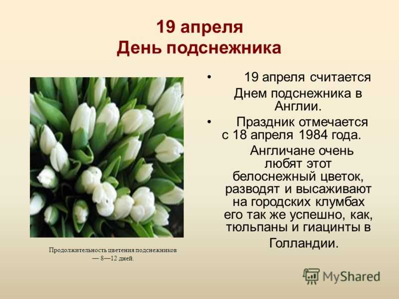 Фестиваль цветов в россии: какая дата и как празднуют? идеи +фото