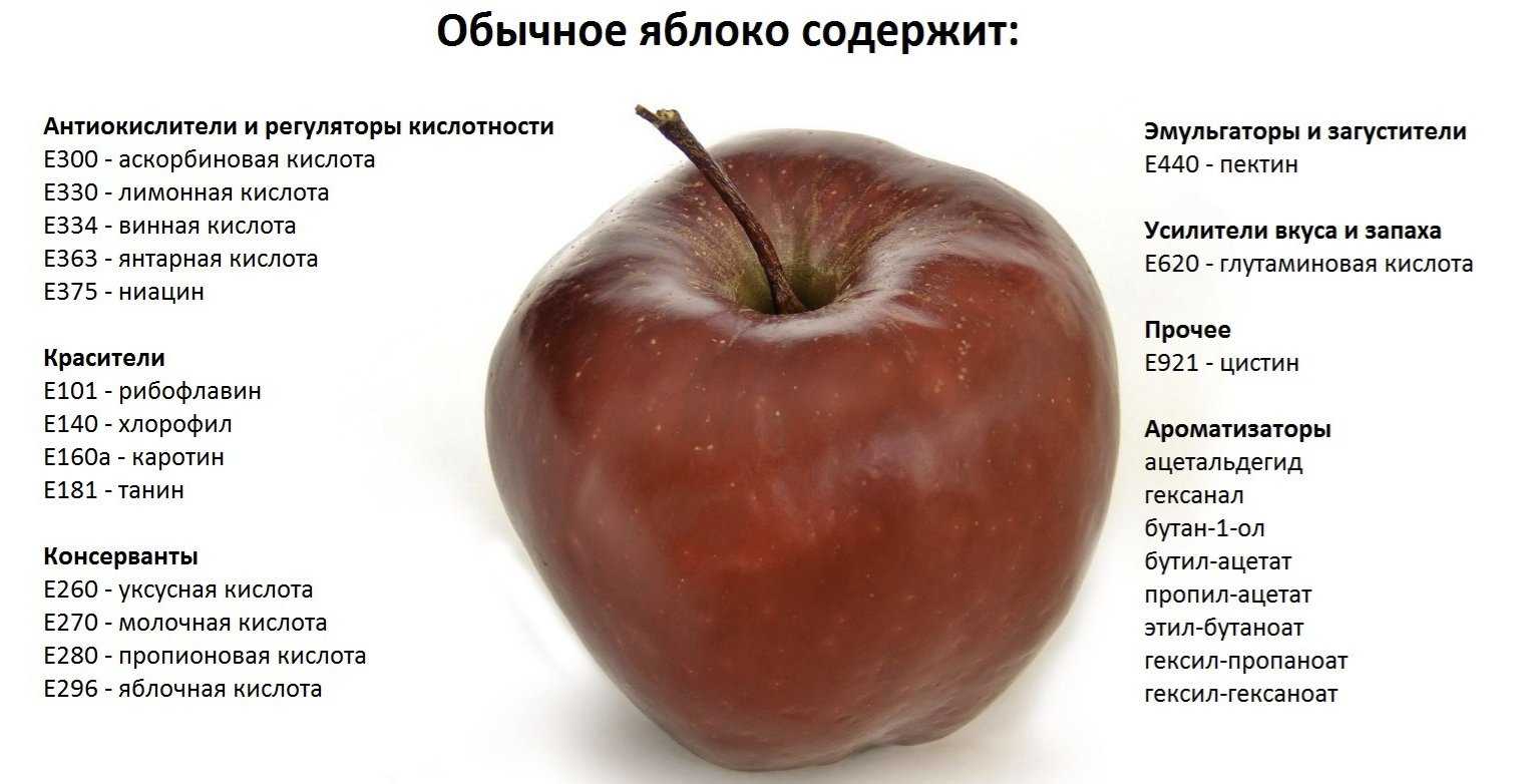 Вся правда о пользе и вреде яблок: новости, яблоки, факты, здоровье, фрукты, рацион питания, еда, питание, красота и здоровье