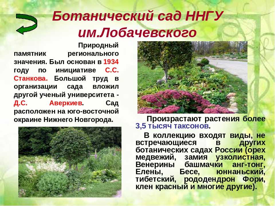 Ботанический сад в нижнем новгороде: адрес, стоимость билетов
