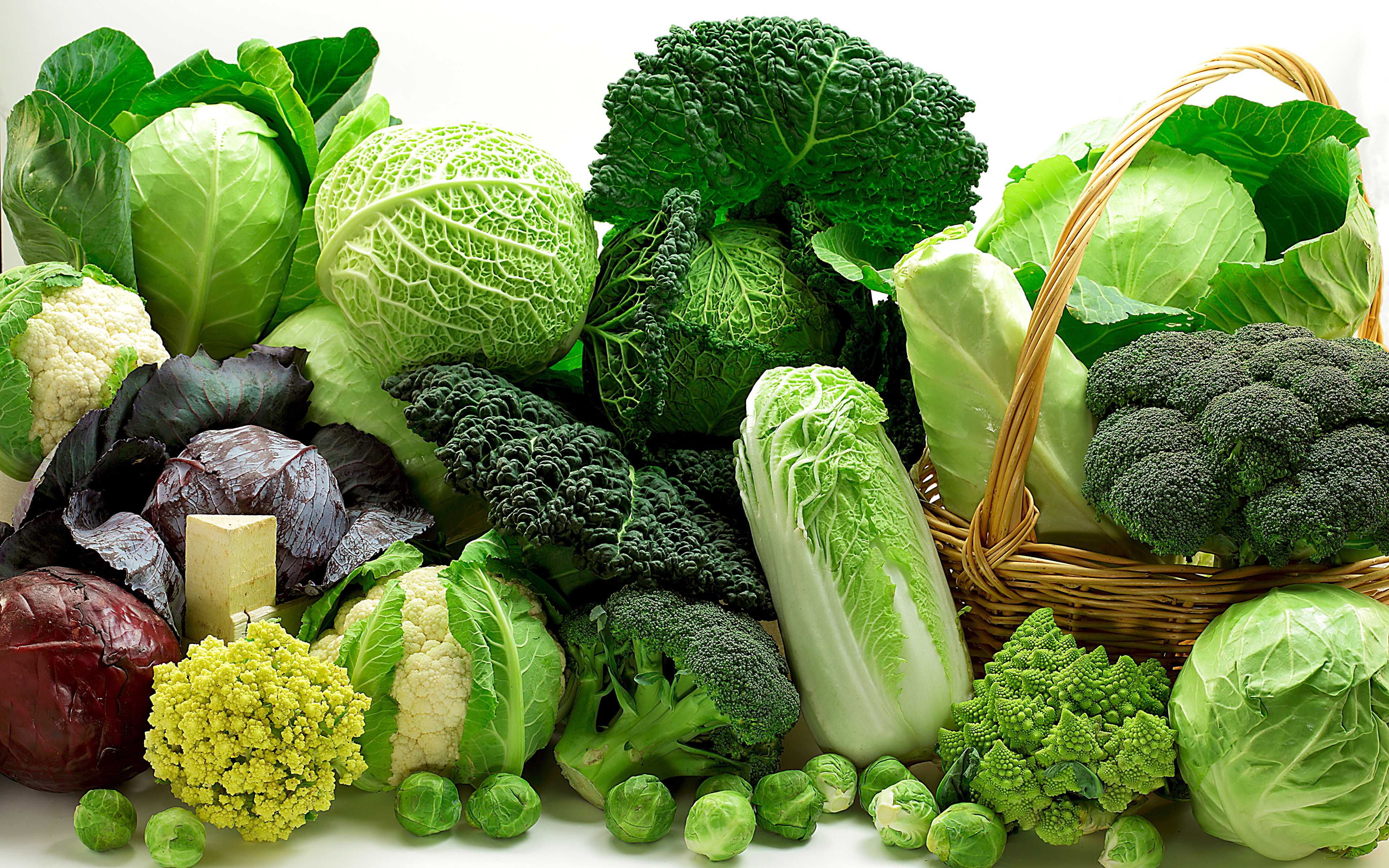 Классификация овощей на огороде – плодовые и десертные овощи, корне- и клубнеплоды, листовые и капустные овощи | мир садоводства