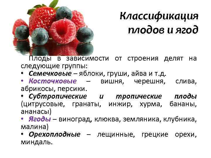 Все полезные и целебные свойства плодово-ягодной культуры