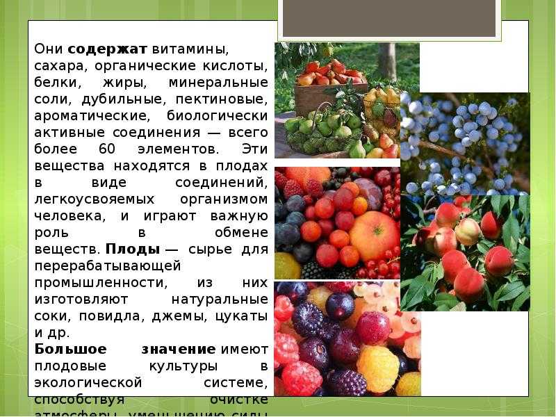 Гост р 59653-2021 материал посадочный плодовых и ягодных культур. технические условия