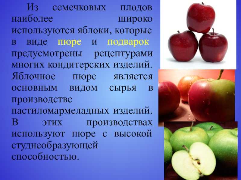 Глава двенадцатая семечковые культуры – яблони и груши