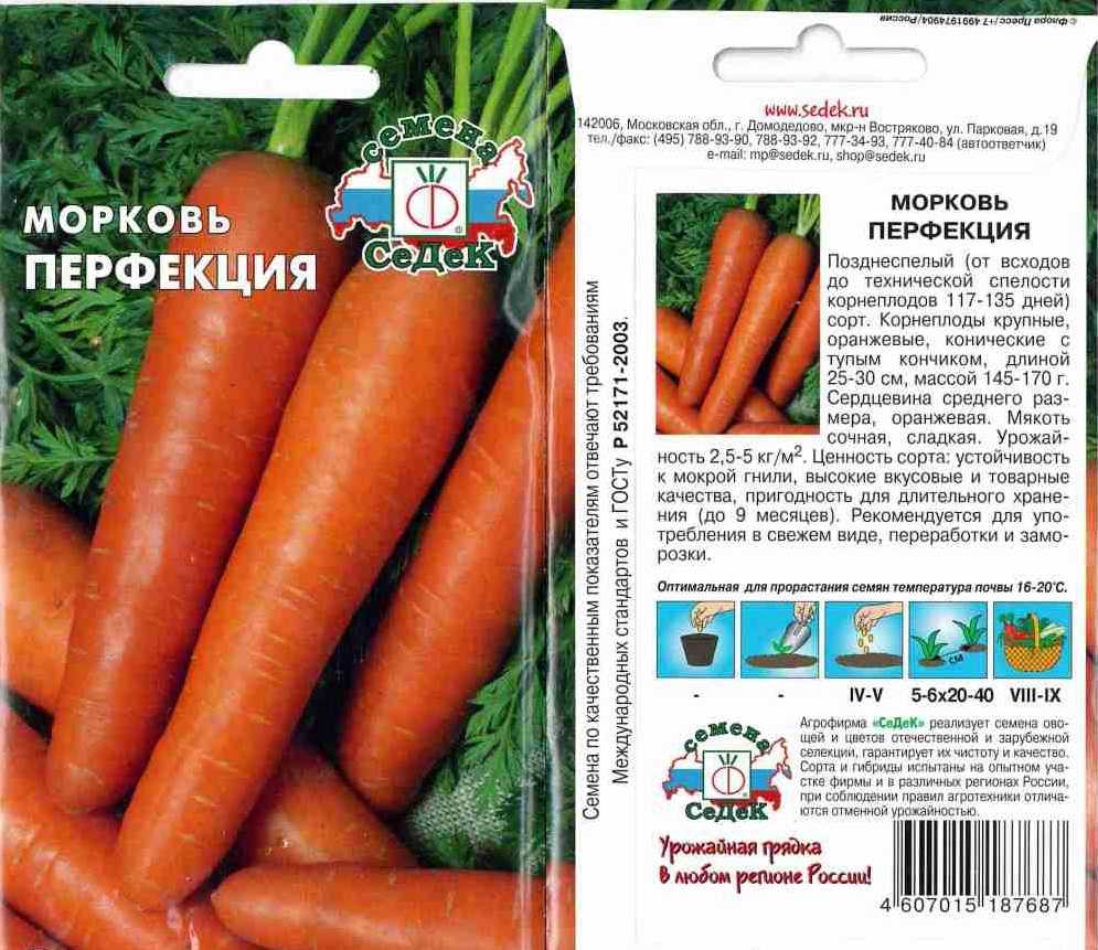 Ботаническая характеристика и сорта моркови — floraprice.ru