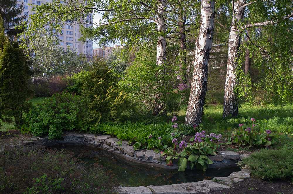 Альбом «калининградский ботанический сад 2019-2021»:
