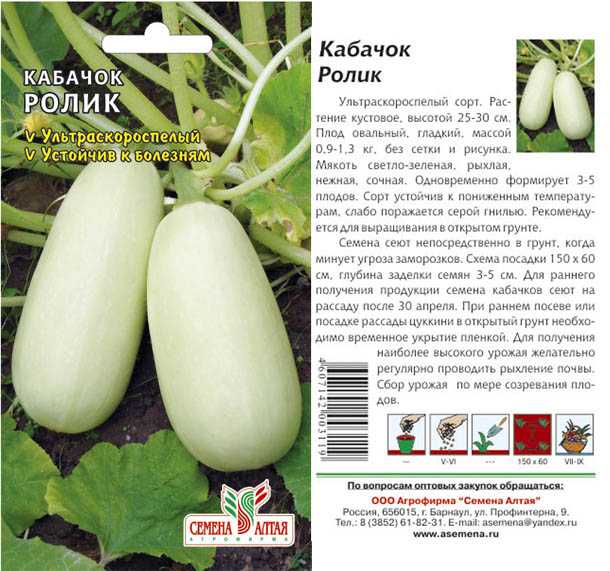 5 моих любимых сортов и гибридов кабачков-цукини. описание, фото — ботаничка.ru