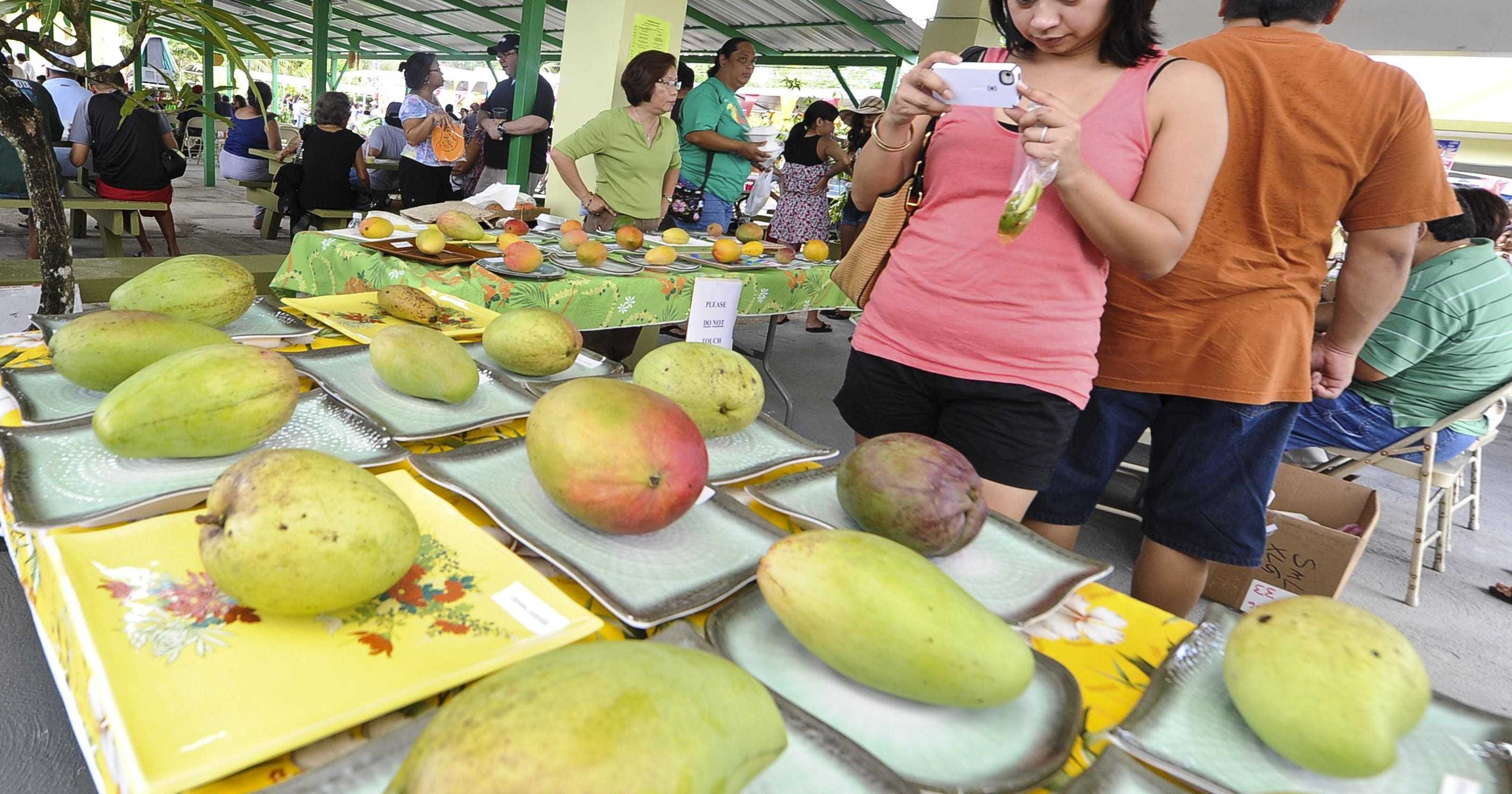 Фестиваль манго - манго, фрукты, праздники, рецепты, фруктовые салаты