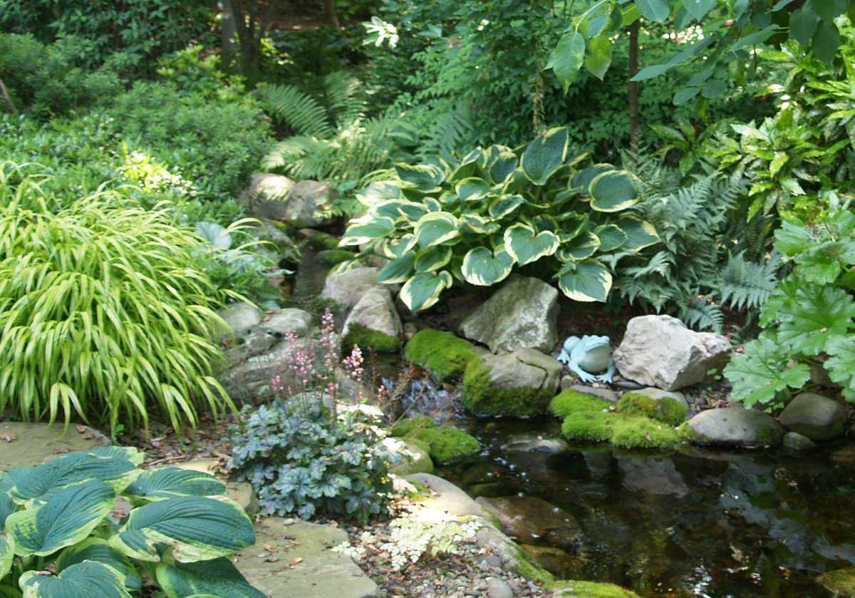 В цветастом уборе: подбираем растения для декоративного водоема  | ogorodnik.com