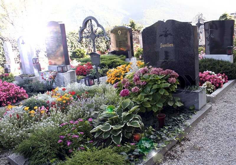 Цветы мертвых: 7 растений, которым место на кладбище