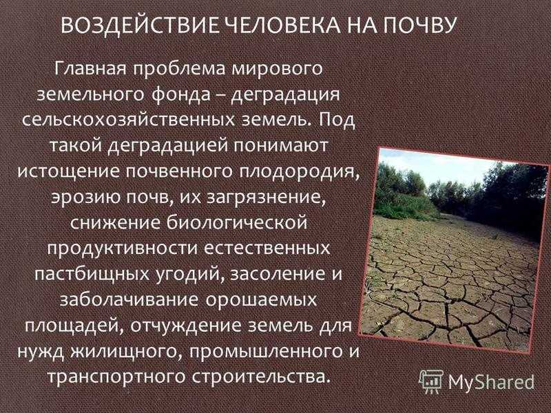Серьезная экологическая проблема — разрушение почвы: причины, способы мелиорации
