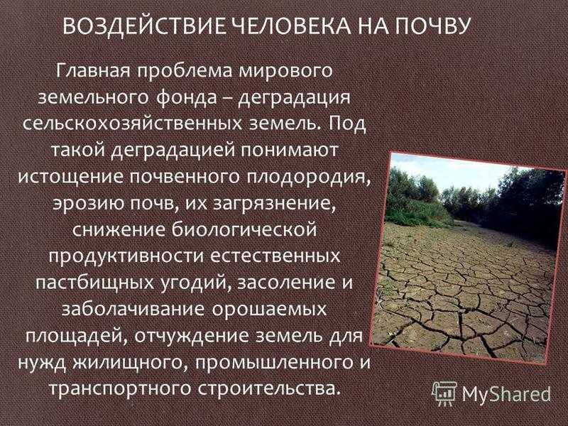 Плодородие почв при движении к полюсам. Воздействие человека на почву. Деятельность человека на почву. Проблемы загрязнения почвы. Истощение и эрозия почв.