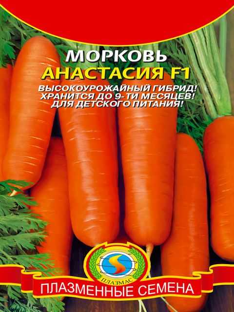 Красная морковь без сердцевины: сорта и их описание