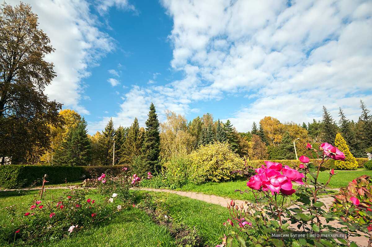 Ботанический сад — калининград (телефон, режим работы и отзывы)