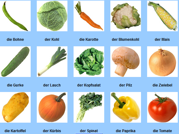 Классификация овощных культур на огороде