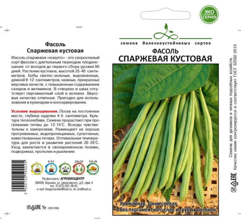 Фасоль вигна: особенности выращивания сорта, описание и хранение урожая с фото