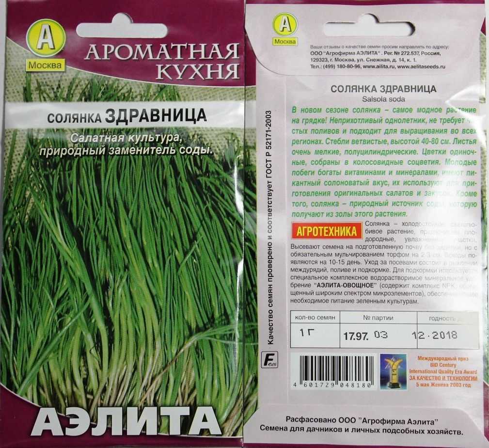 Солянка содоносная (агретти, salsola soda) (ru)