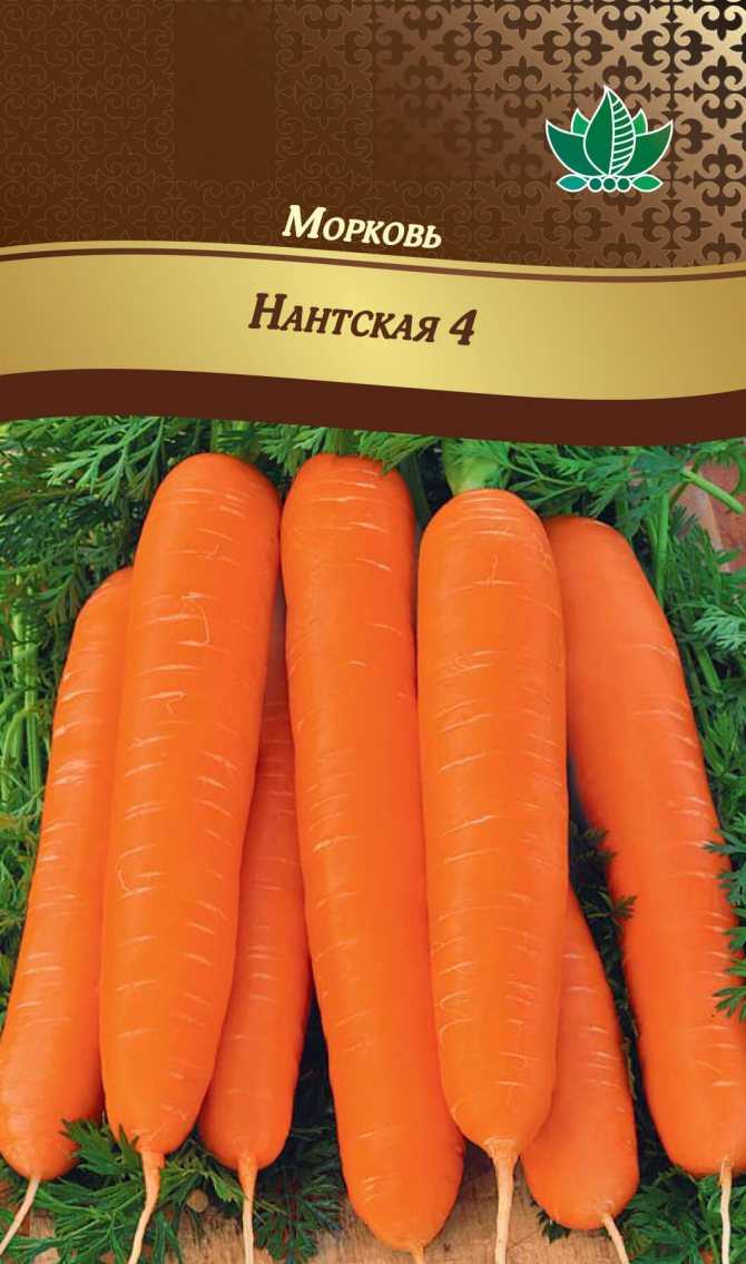 Сортотипы моркови