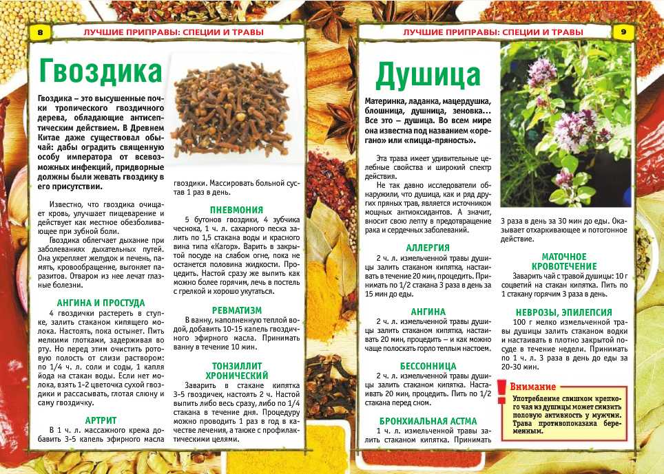 Пряные травы и рецепты их применения в смесях приправ - страна мам