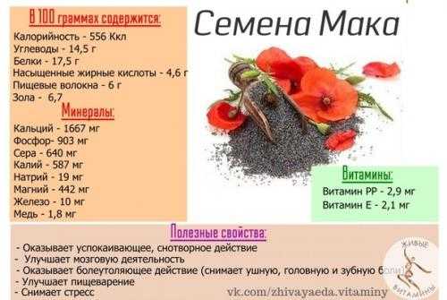 Мачок желтый, лечебные свойства, описание, применение, противопоказания, рецепты, фото