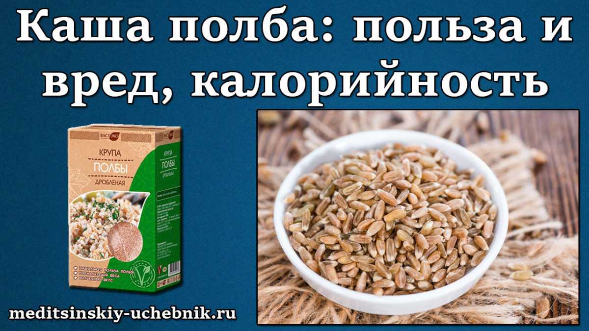 Пшеница полба | справочник пестициды.ru