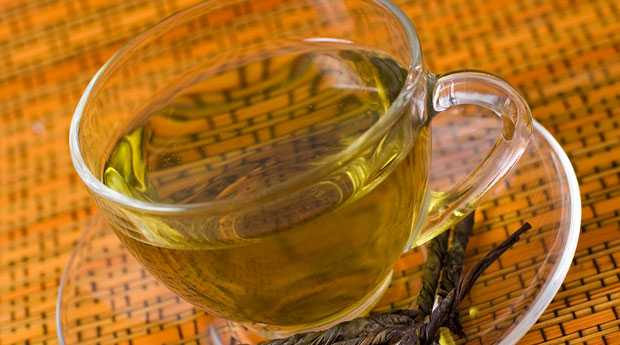 Чай кудин – польза и вред, советы врачей и правила заваривания
