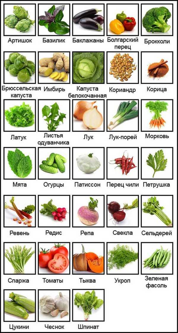 Овощные культуры. виды и биологические особенности овощей
