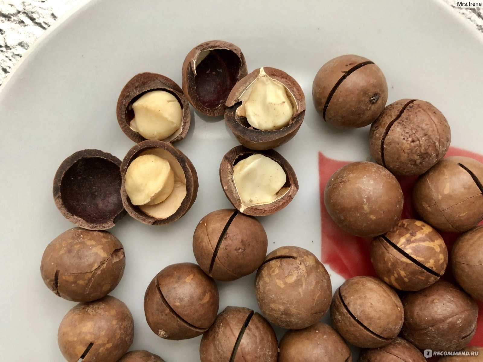 Кешью, фундук и миндаль: какие орехи вызывают рак, болезни почек и печени