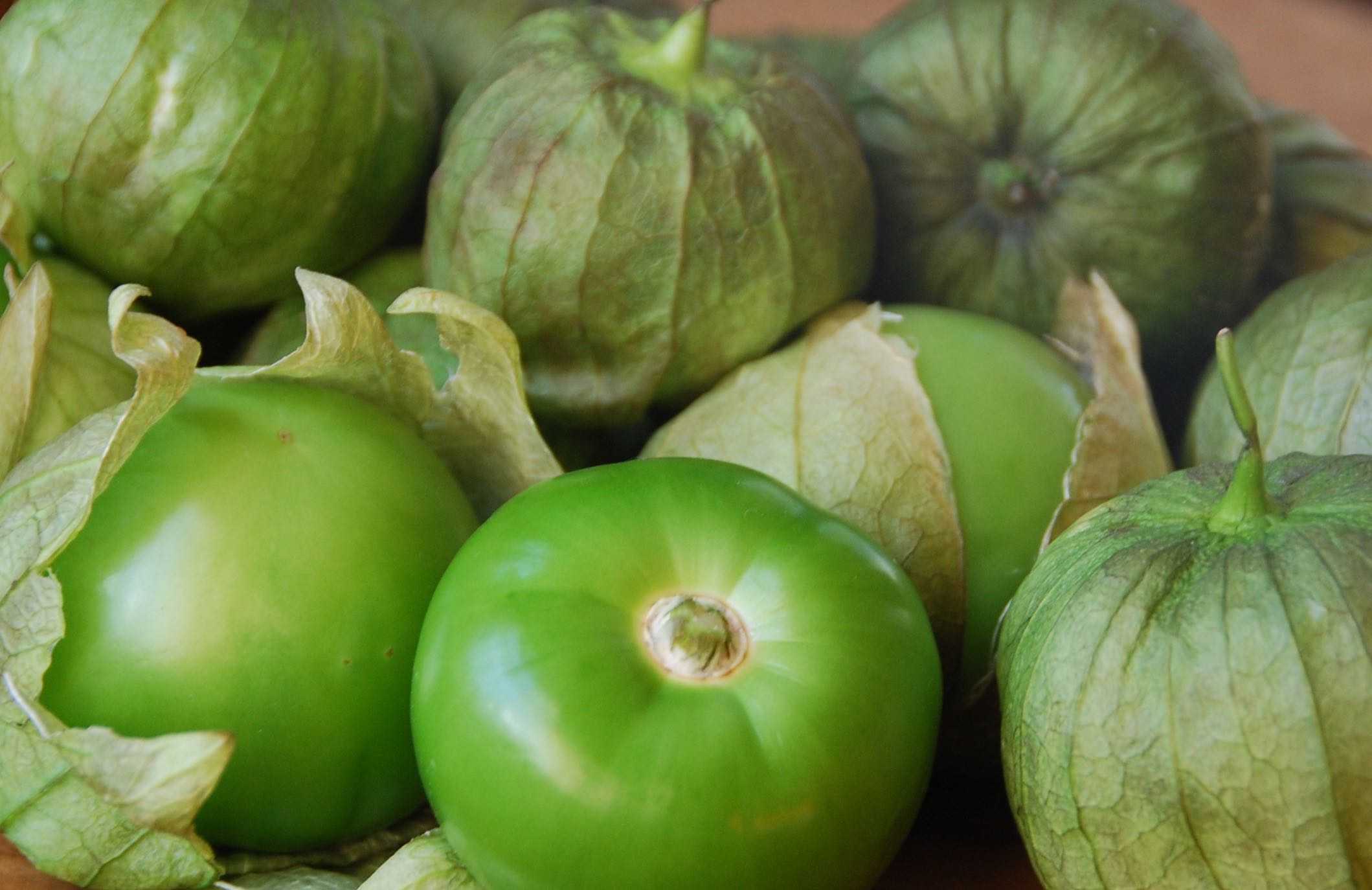 Физалис мексиканский (томатильо) - способы и правила выращивания, особенности ухода