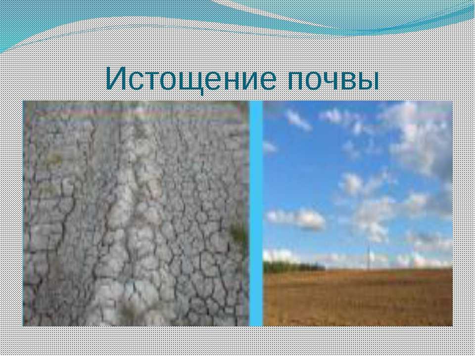 Ecoloclub : истощение земель :: охрана почвенных ресурсов от антропогенного воздействия :: лекции и другие материалы по экологии