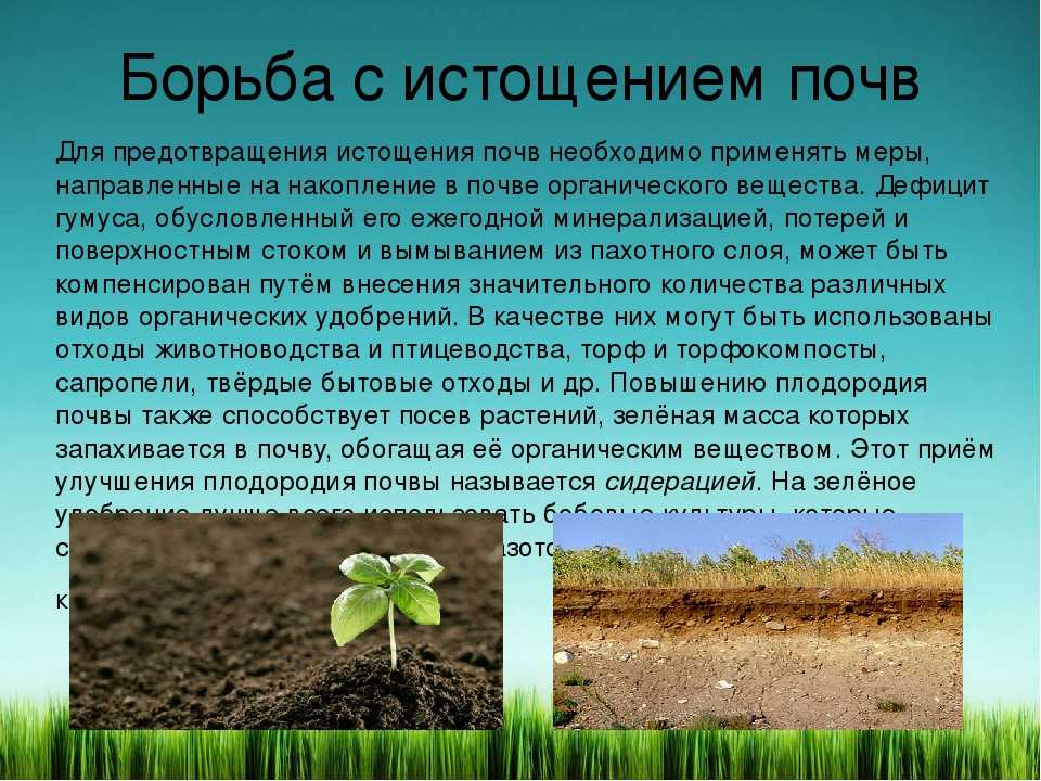 Защита почвы от истощения: правила севооборота, удобрения и компост, высадка сидератов, перекопка земли весной и осенью