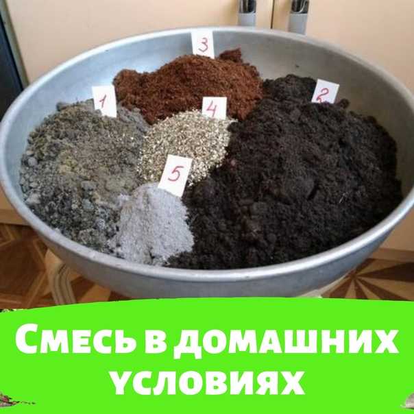 Грунт для рассады: как правильно приготовить почву для каждой культуры - дачные советы.ру