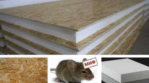 Популярные, эффективные средства, от мышей от которых они уйдут навсегда