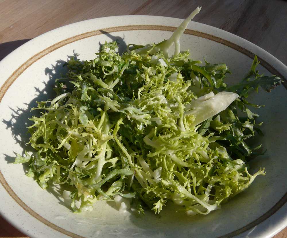 Как вырастить салатный цикорий