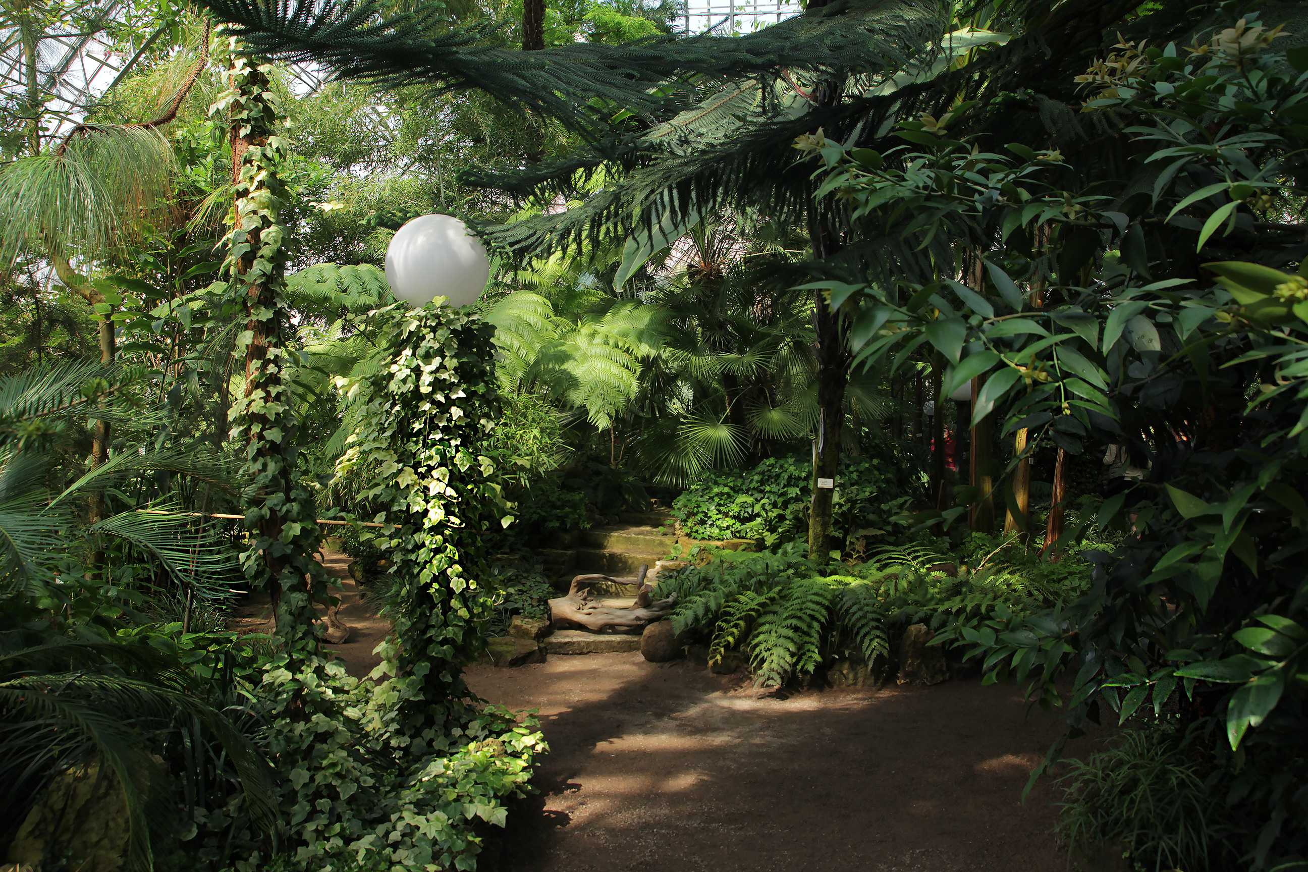 Ботанический сад на ботанической москва