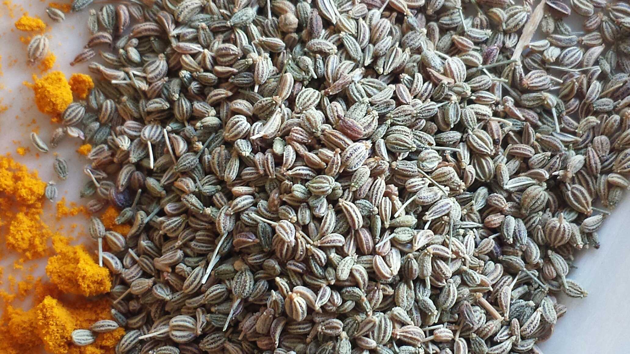 Семена ажгона: полезные свойства и применение