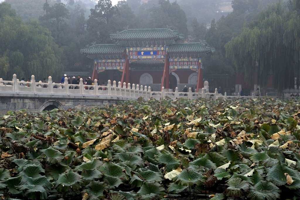 Парки в китае - фото, описание парков в китае