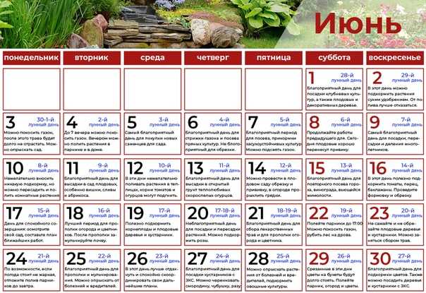 Пересадка комнатных растений по лунному календарю в 2021 году: таблица, благоприятные и неблагоприятные дни, какие работы проводить летом, осенью, зимой, весной