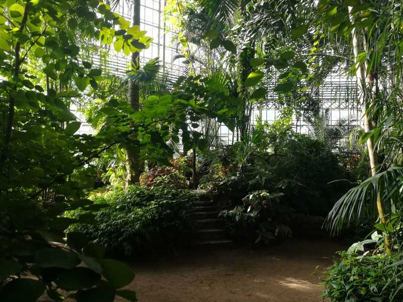 Питомник растений «ботанический сад»