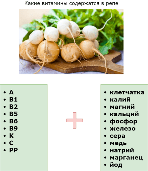 Самый русский овощ: капуста? картофель? репа!