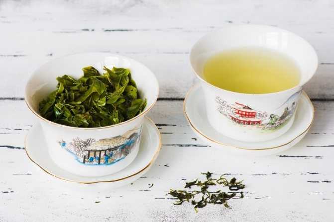 Чай кудин - польза и вред для организма мужчины и женщины. полезные свойства и противопоказания