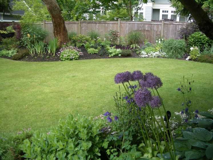 Сад в английском стиле: как создать английский сад своими руками. фото английского сада.