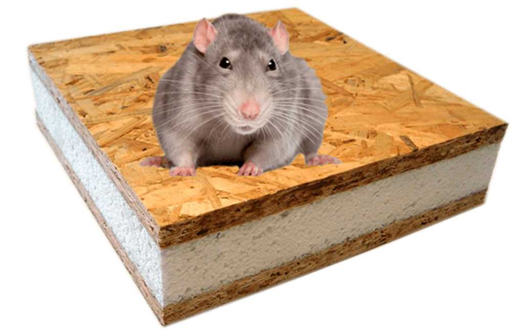 Как сделать так, чтобы не было мышей в деревянном доме