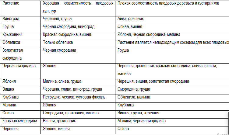 Приказ министерства природных ресурсов и экологии рф от 28 июля 2020 г. n 497 “об утверждении правил использования лесов для выращивания лесных плодовых, ягодных, декоративных растений, лекарственных растений”