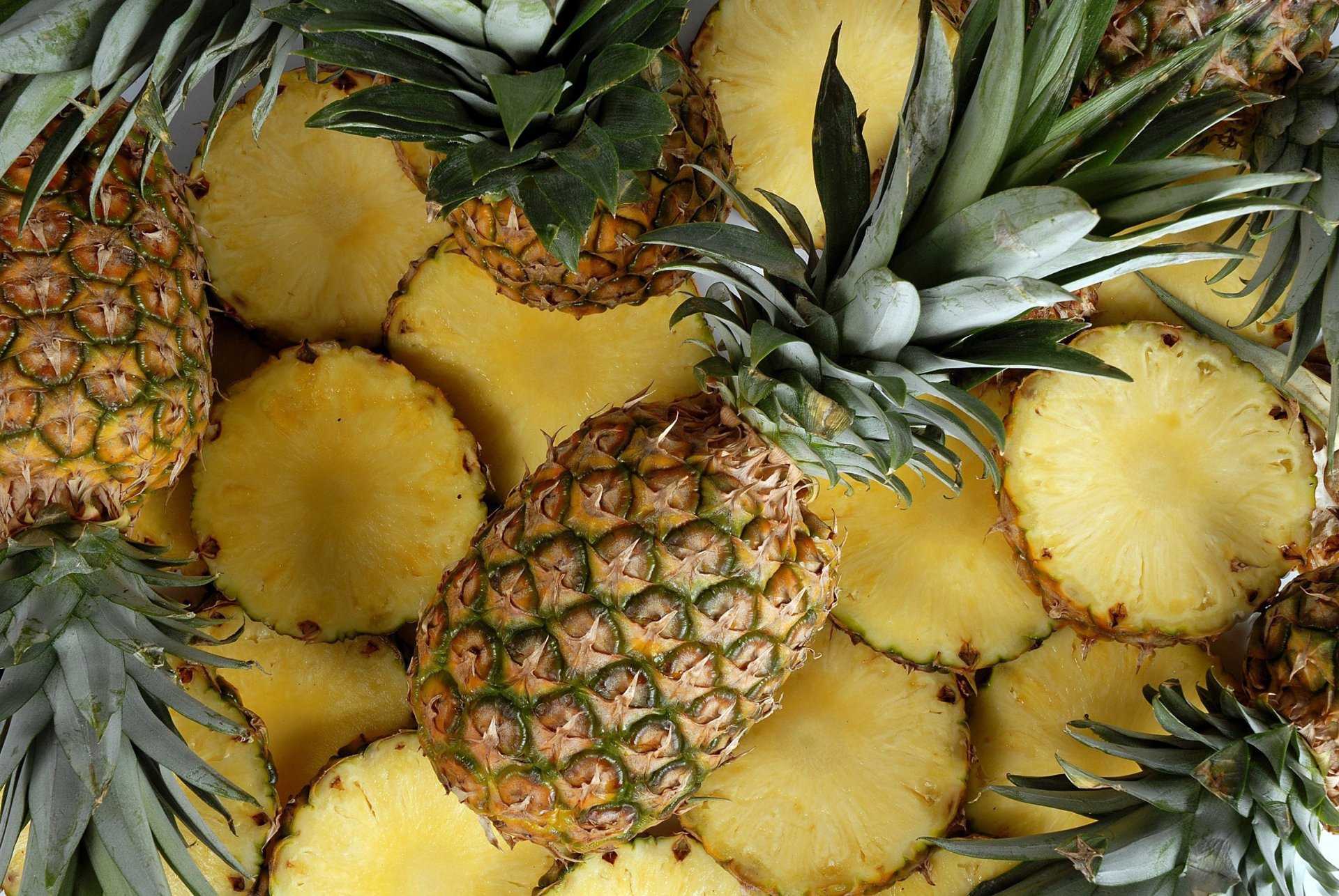 Ананас (ananas). описание, виды и выращивание ананаса | флористика на "добро есть!"