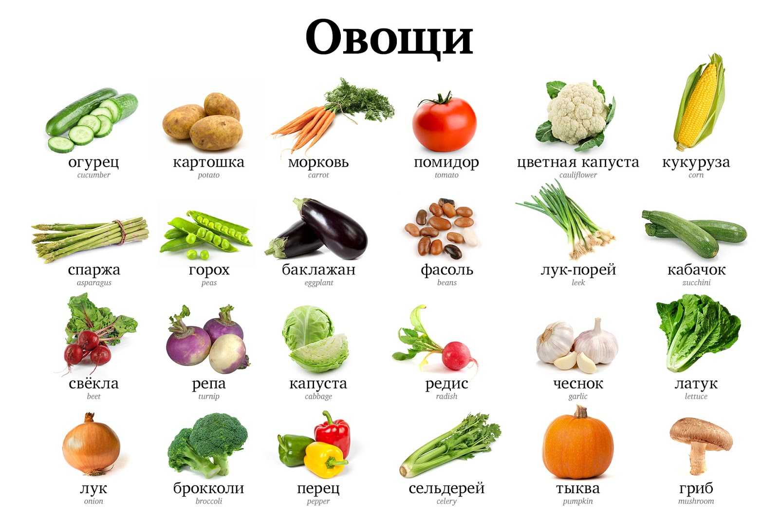 Овощи: виды и список названий с описанием полезных свойств