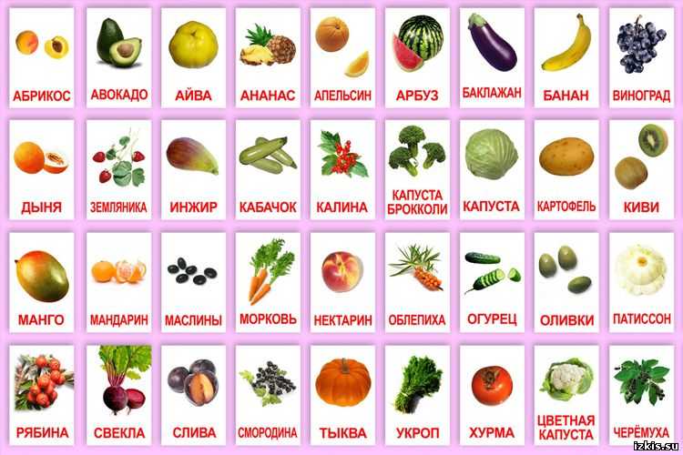 Классификация овощей на огороде – плодовые и десертные овощи, корне- и клубнеплоды, листовые и капустные овощи | мир садоводства