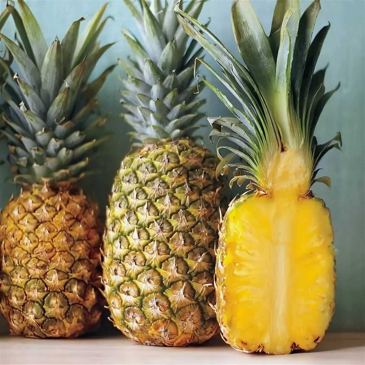 Как вырастить ананас: особенности